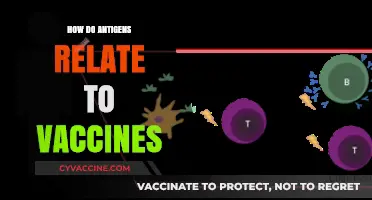 Understanding Antigens: The Science Behind Vaccines and Immunity