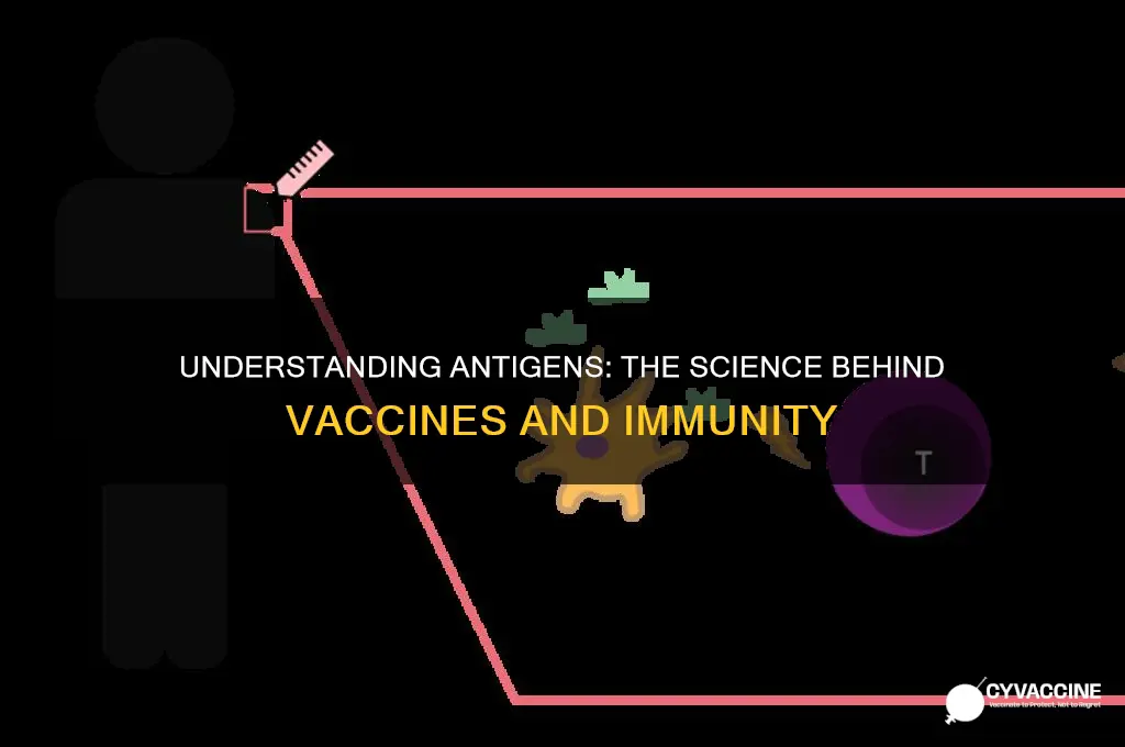 how do antigens relate to vaccines