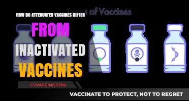 Attenuated vs. Inactivated Vaccines: Key Differences and Mechanisms Explained