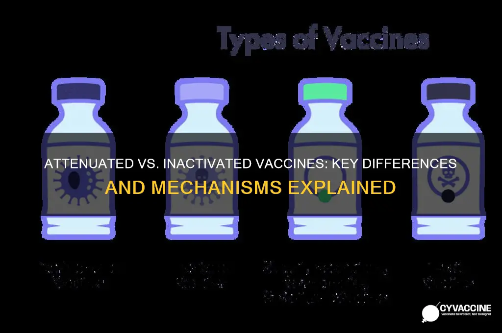 how do attenuated vaccines differ from inactivated vaccines