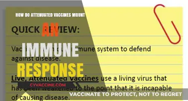 How Attenuated Vaccines Trigger Robust Immune Responses Safely