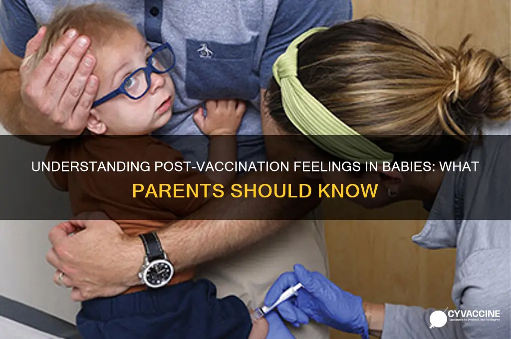 how do babies feel after vaccination