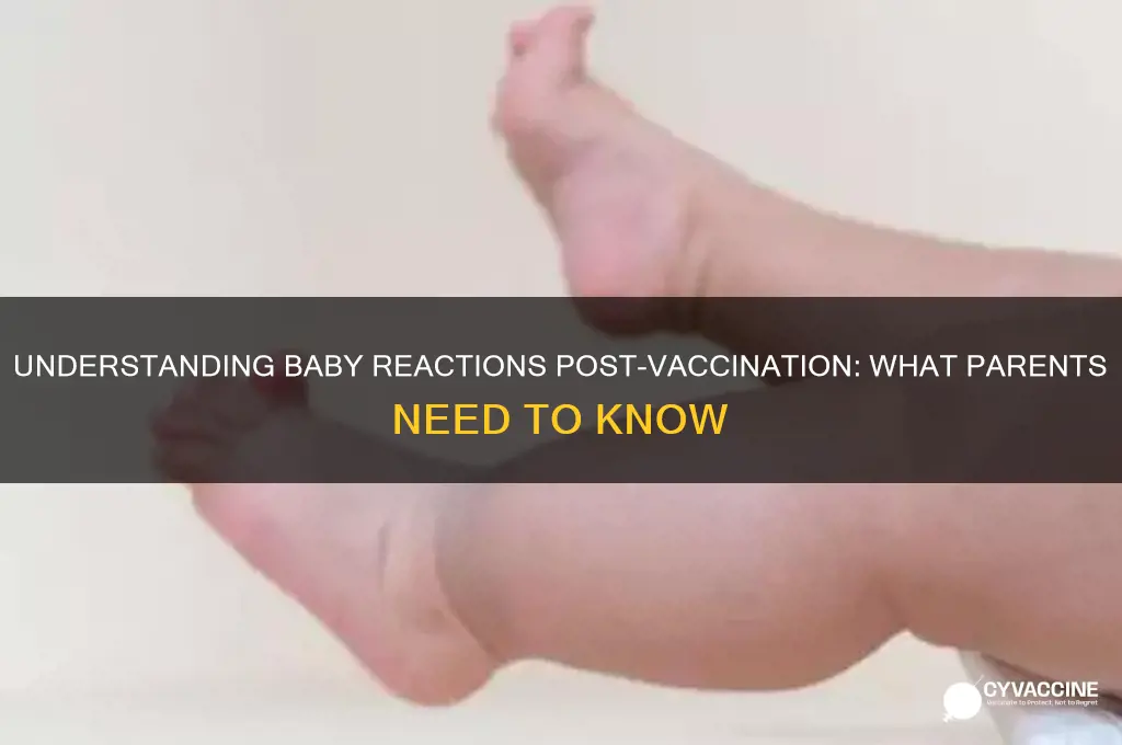 how do babies react after vaccinations