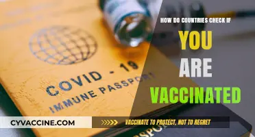 Global Vaccine Verification: How Countries Confirm Your Vaccination Status