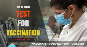 Vaccination Testing: How Doctors Verify Immunity and Vaccine Effectiveness