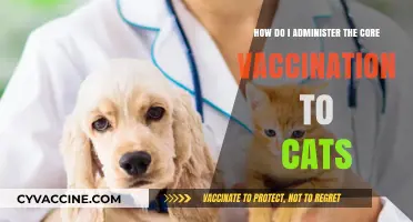 Administering Core Vaccinations to Cats: A Step-by-Step Guide for Pet Owners