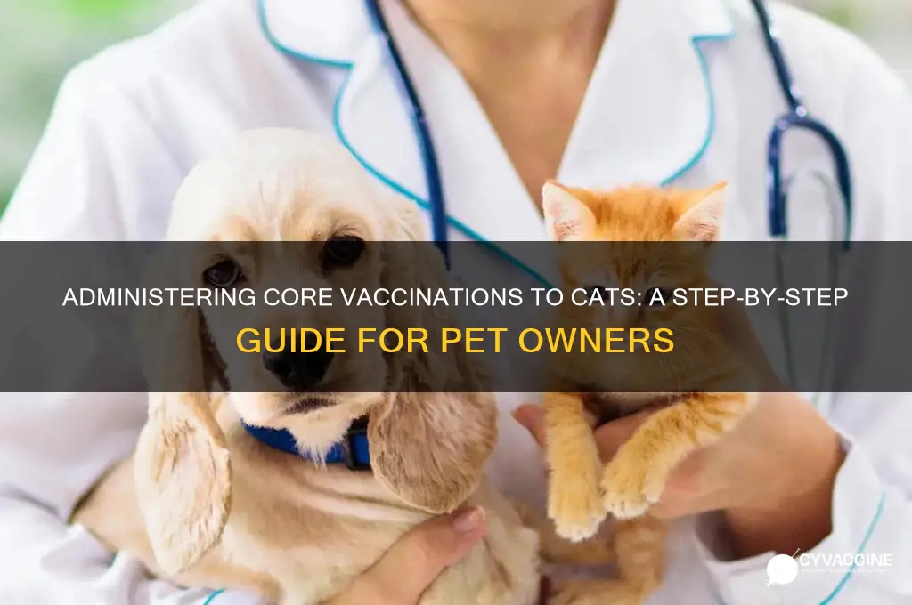 how do i administer the core vaccination to cats