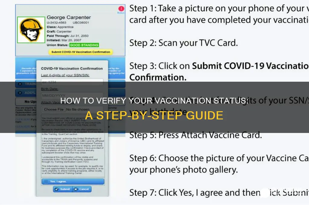 how do i check if i been vaccinated