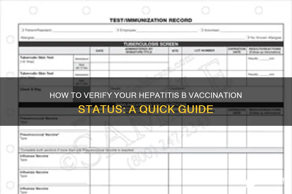 how do i check my hep b vaccine status