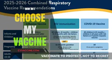 Choosing Your Vaccine: A Step-by-Step Guide to Informed Decisions