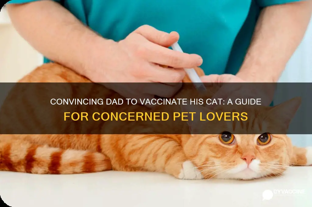 how do i convince my dad to vaccinate his cat