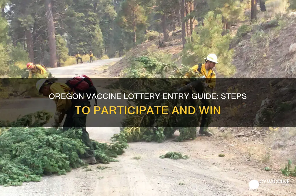 how do i enter the oregon vaccine lottery
