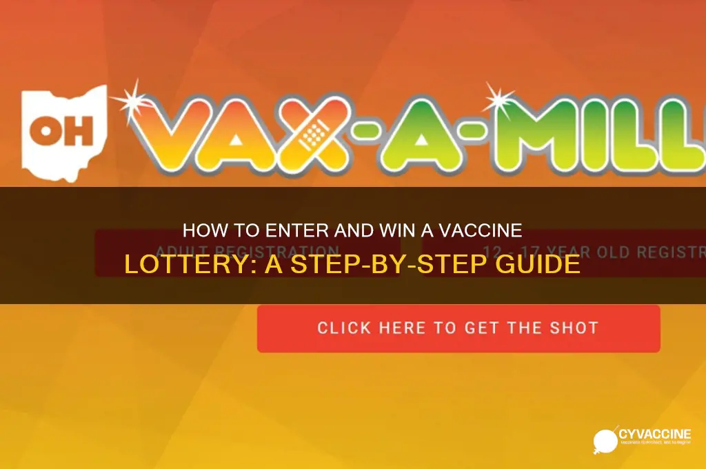 how do i enter vaccine lottery