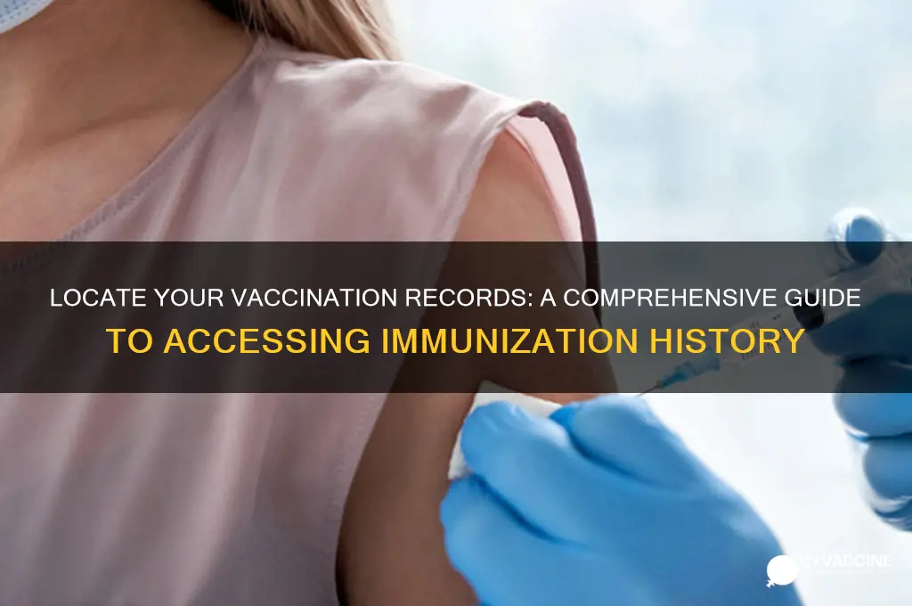 how do i find all my vaccination records