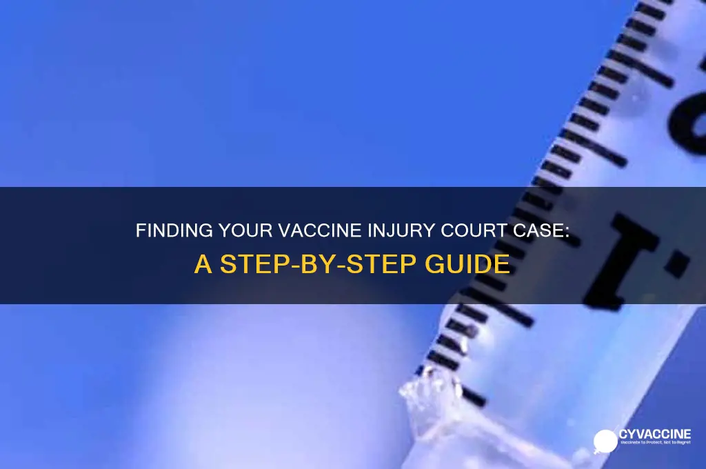 how do i find my case vaccine injury court