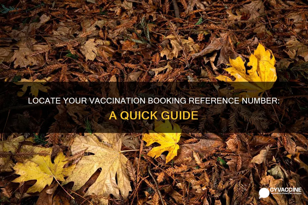 how do i find my vaccination booking reference number