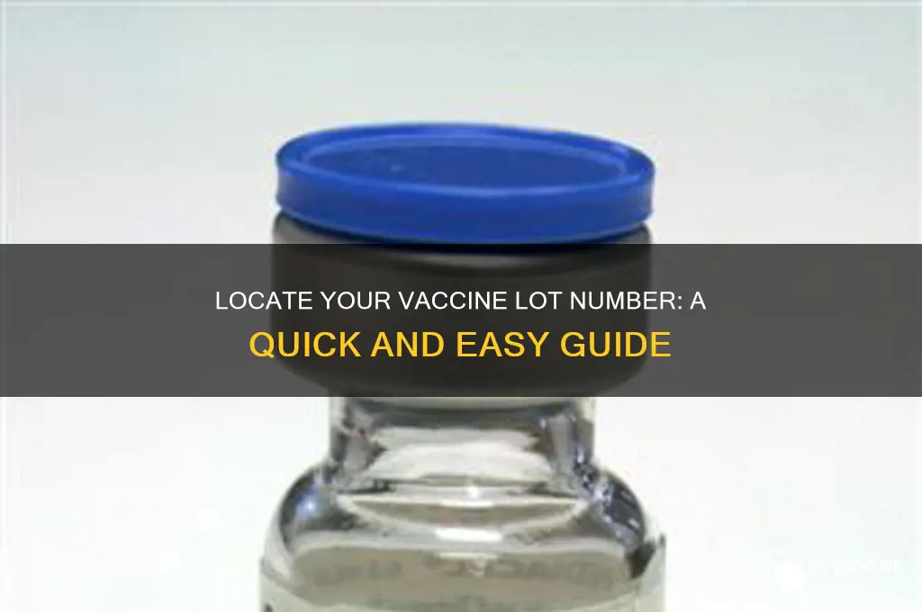 how do i find my vaccine lot number