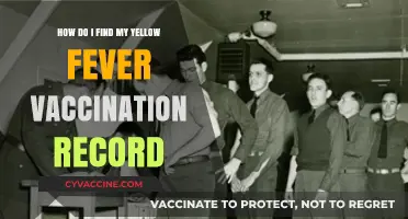 Locate Your Yellow Fever Vaccination Record: A Quick Guide