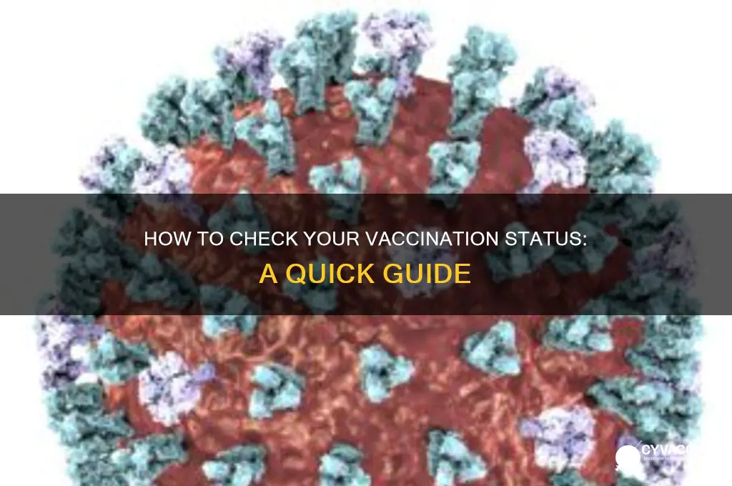 how do i find out my vaccination status