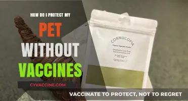 Safeguarding Pets Naturally: Vaccine-Free Strategies for Optimal Pet Health
