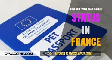 Proving Vaccination Status in France: A Step-by-Step Guide