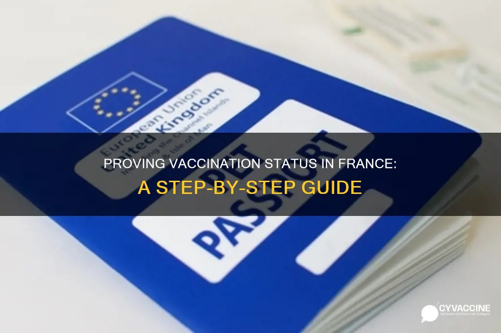 how do i prove vaccination status in france