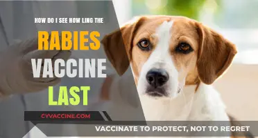Rabies Vaccine Duration: How Long Does Protection Last?