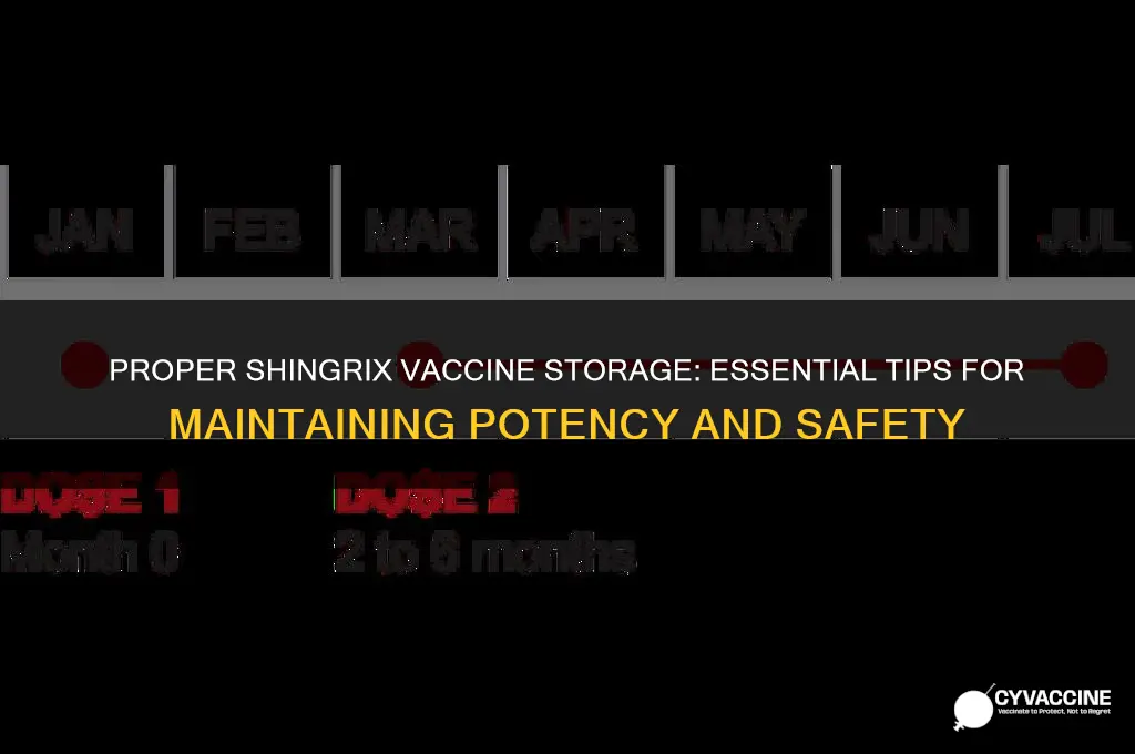 how do i store shingrix vaccine