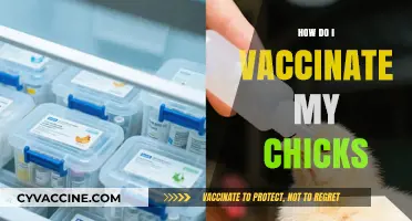 Vaccinating Your Chicks: A Step-by-Step Guide for Healthy Poultry