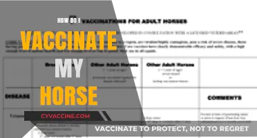 Essential Guide to Safely Vaccinating Your Horse: Steps and Tips