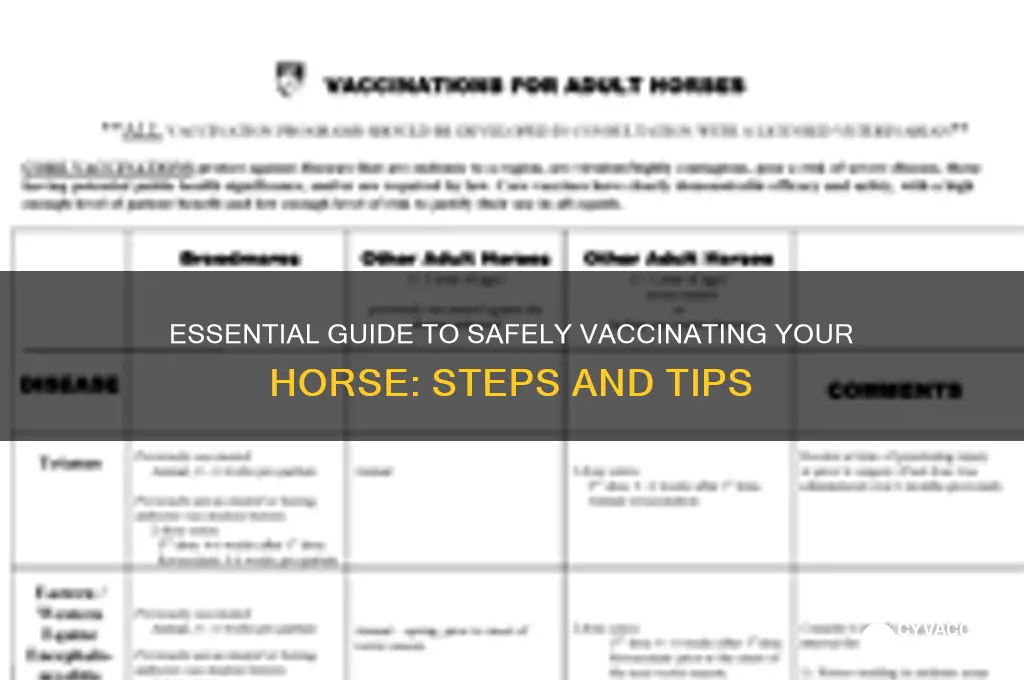 how do i vaccinate my horse