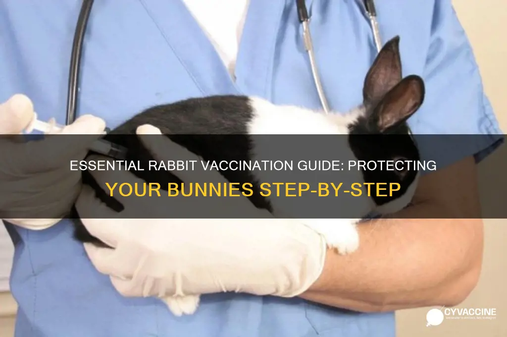 how do i vaccinate my rabbits
