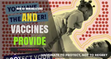 How Immunizations and Vaccines Provide Lifelong Protection Against Diseases