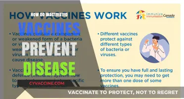 Understanding Inactivated Vaccines: How They Safely Prevent Diseases Effectively