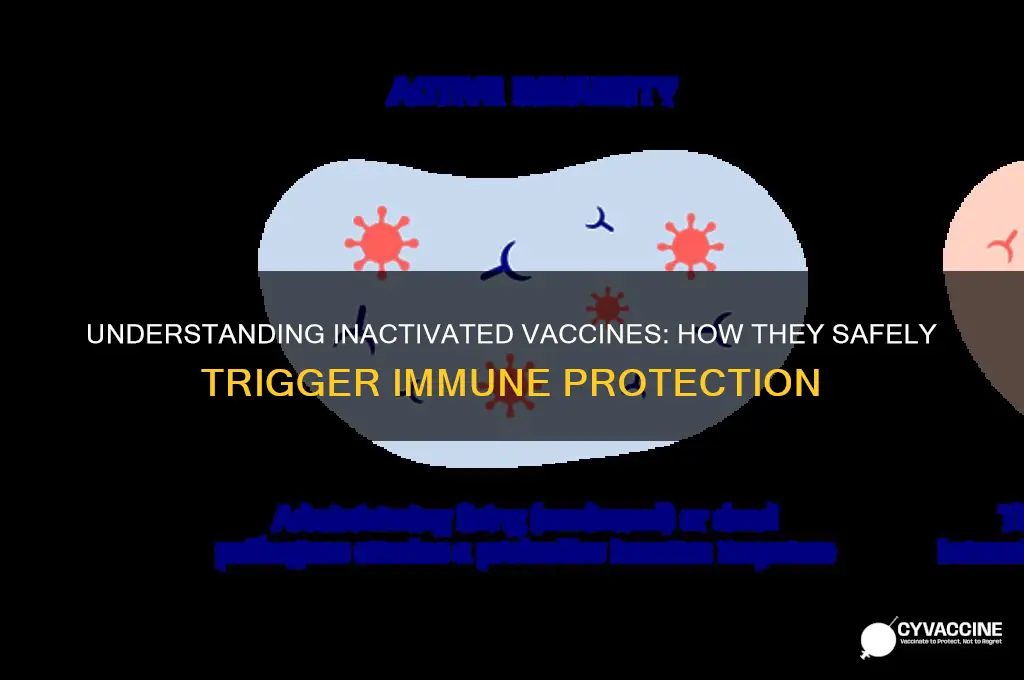 how do inactivated vaccines provide immunity