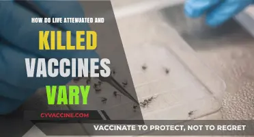 Live Attenuated vs. Killed Vaccines: Key Differences and Effectiveness Explained