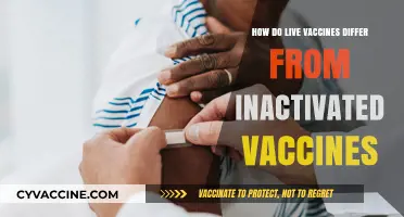 Live vs. Inactivated Vaccines: Key Differences and How They Work