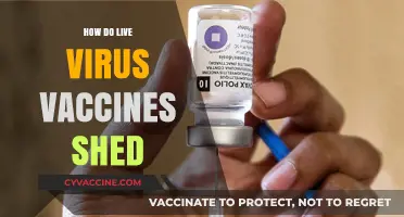 Understanding Live Virus Vaccine Shedding: Risks, Transmission, and Safety Measures
