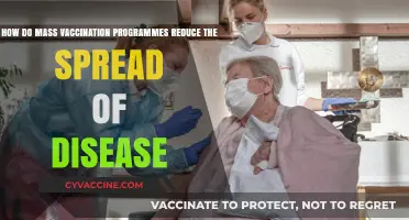 Mass Vaccination: A Powerful Tool to Curb Disease Spread