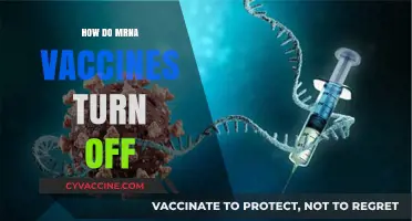 Understanding mRNA Vaccines: How Their Self-Destruct Mechanism Works
