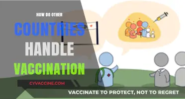 Global Vaccination Strategies: How Nations Approach Immunization Differently