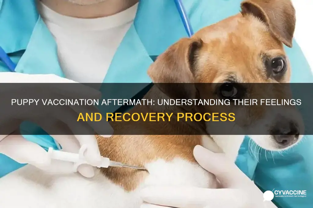 how do puppies feel after vaccination