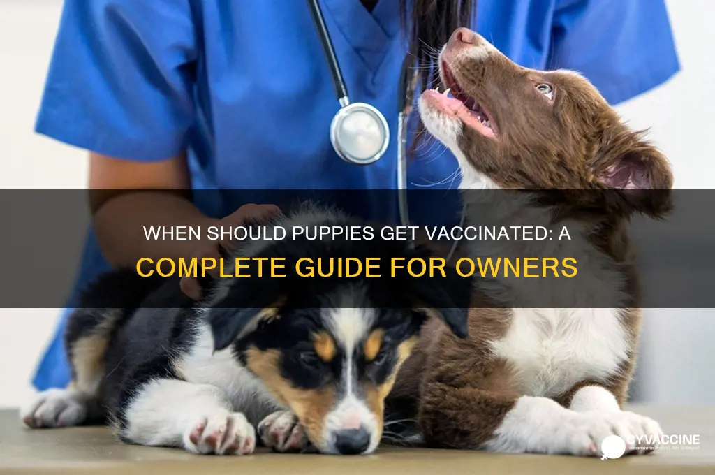 how do puppies have to be to be vaccinated