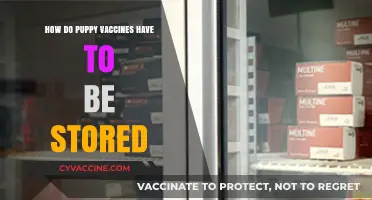 Proper Puppy Vaccine Storage: Essential Tips for Pet Owners