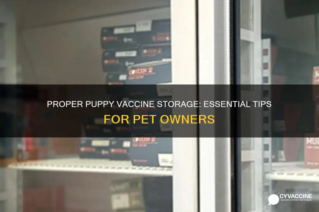 how do puppy vaccines have to be stored