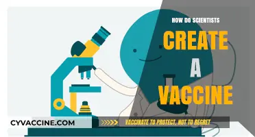 Unveiling the Science: How Researchers Develop Life-Saving Vaccines