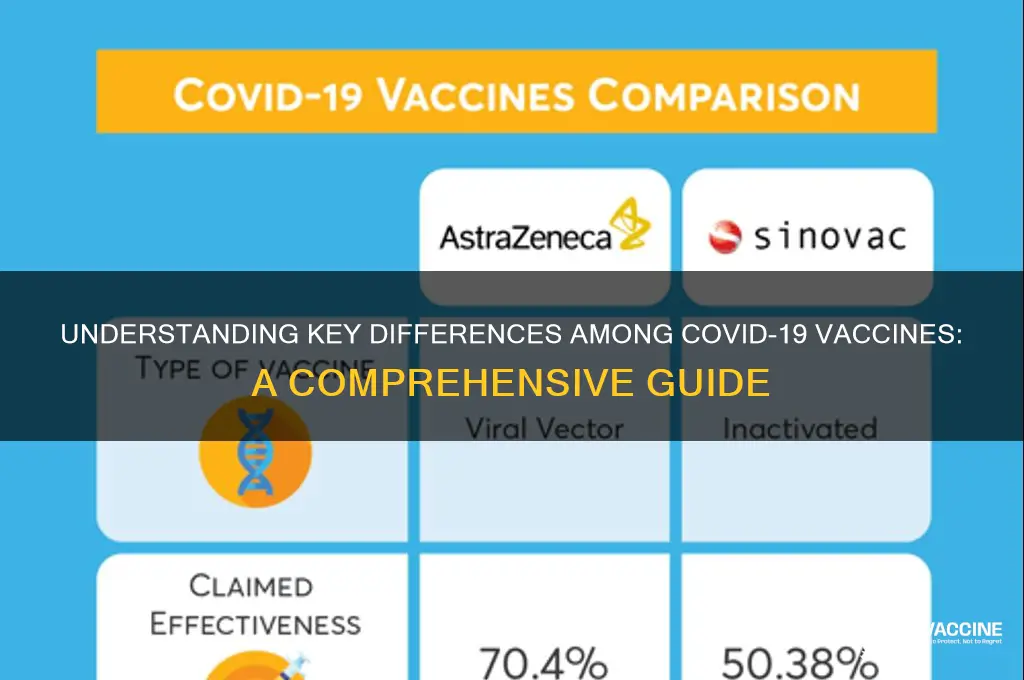 how do the coronavirus vaccines differ