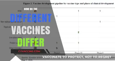 Understanding Vaccine Differences: Types, Technologies, and Effectiveness Compared
