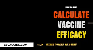 Understanding Vaccine Efficacy: Calculation Methods and Key Factors Explained