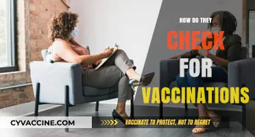 How Vaccination Verification Works: Methods and Processes Explained